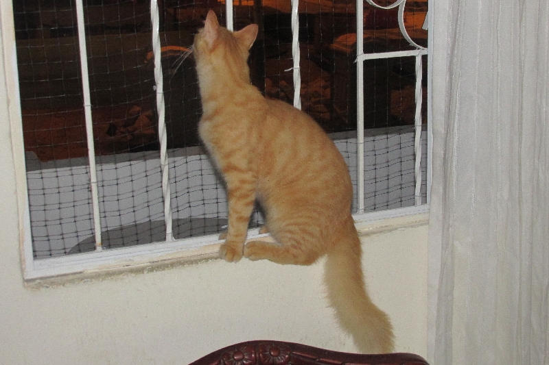 Puis-je m’échapper par la fenêtre ?