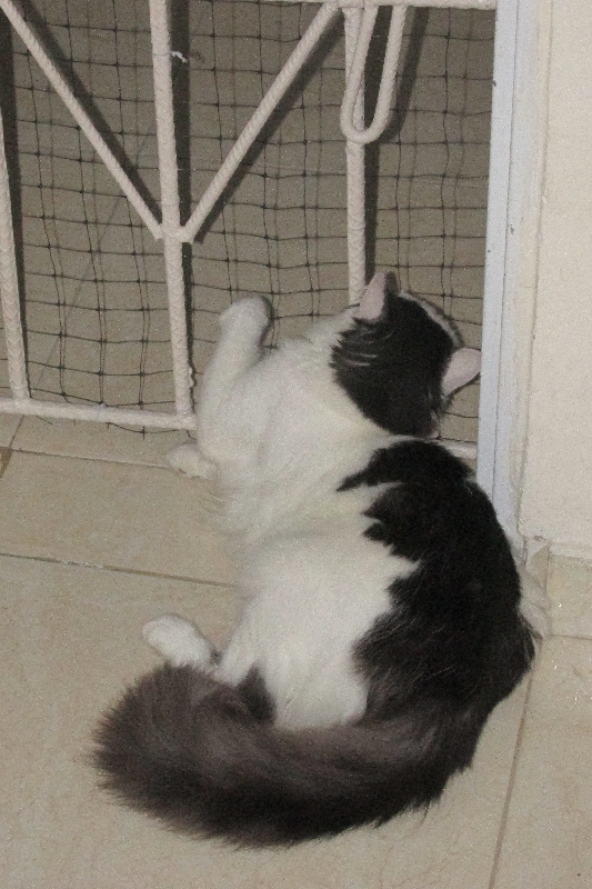 Ou bien par la porte ?