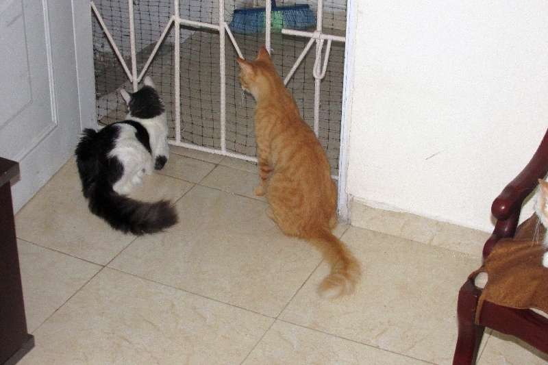 Peut-être plus facile à deux ?