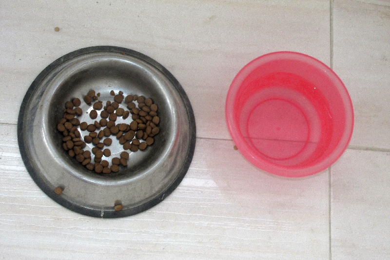 Des croquette, bien sûr, mais n'oubliez-pas l'eau !