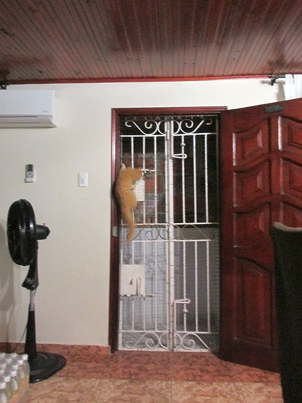 Où se trouve la sortie ?