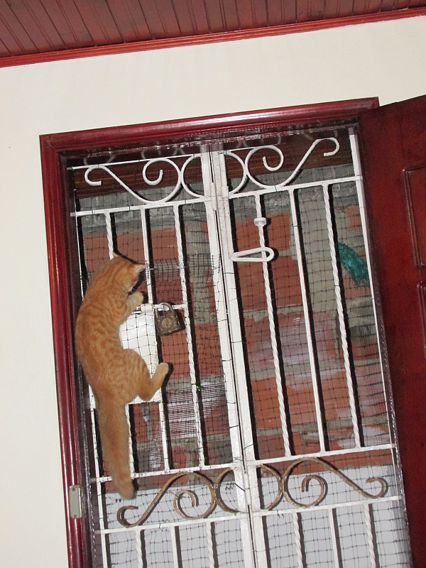 Je suis sûr que c'est tout près...