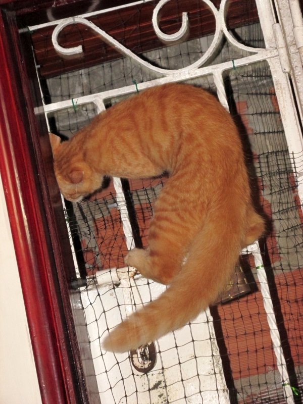 J'ai presque trouvé la sortie...