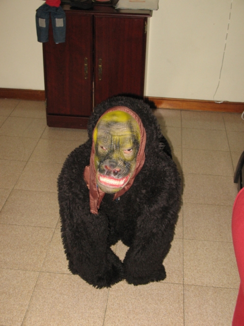 Un gorille dans ma maison...