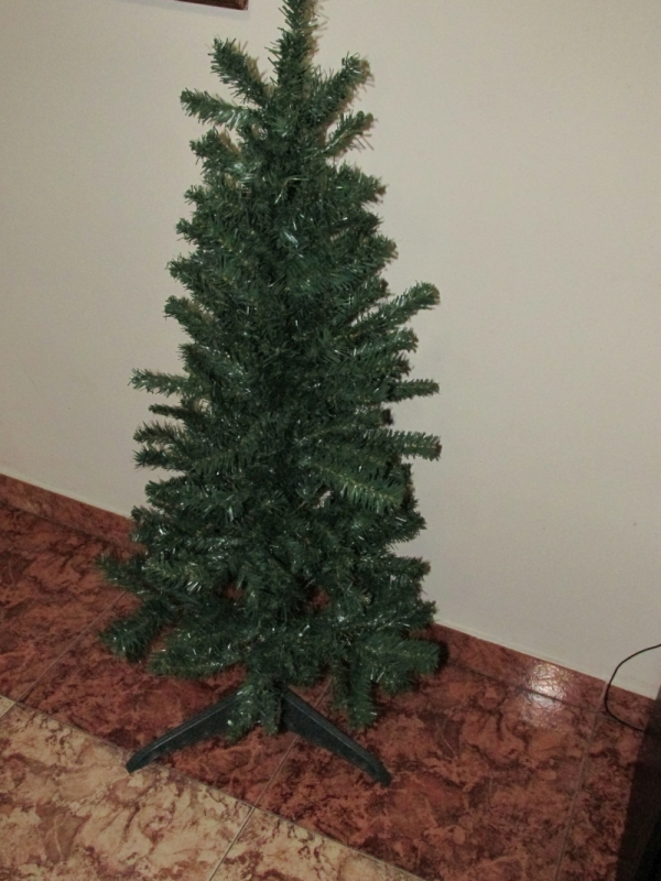 Voici le nouvel arbre que nous avons dû acheter car Bono a détruit le premier...