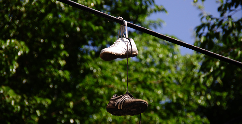 (cliquer pour agrandir)