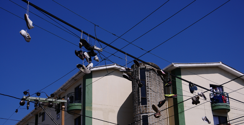 (cliquer pour agrandir)